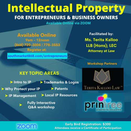 Copy of Intellectual Property (1)