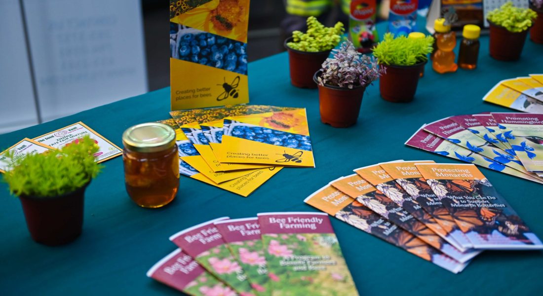 South Market Education Expo (40)